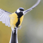 Design ohne Titel 11